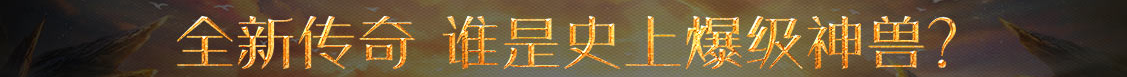 指数动态市场通